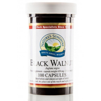 Svart valnöt (Black Walnut)