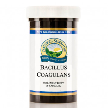 Bacillus coagulans (Bacillus coagulans) probiotisk 