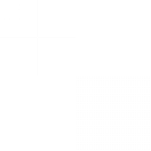Svart valnöt (Black Walnut)